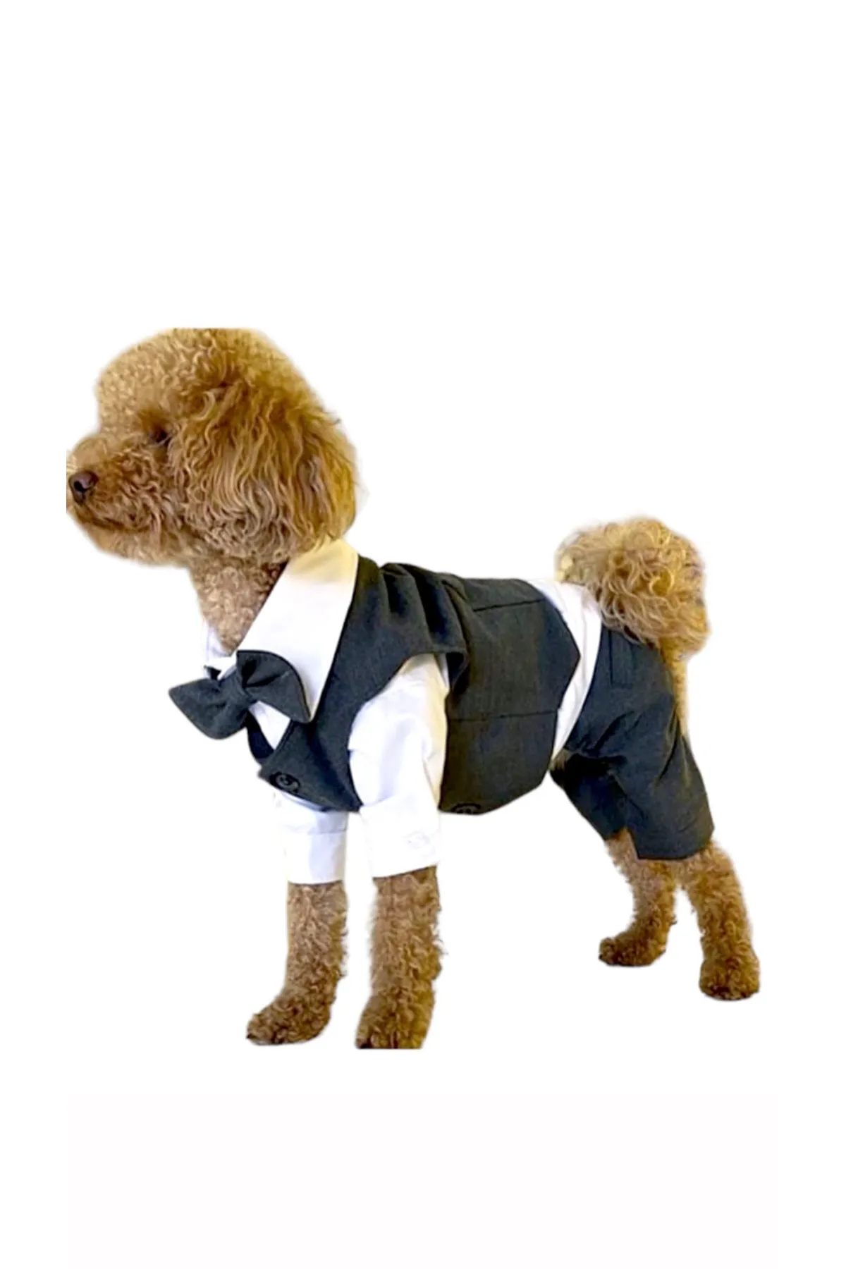 ZiggyDog Köpek Kıyafet Takım Elbise Gri