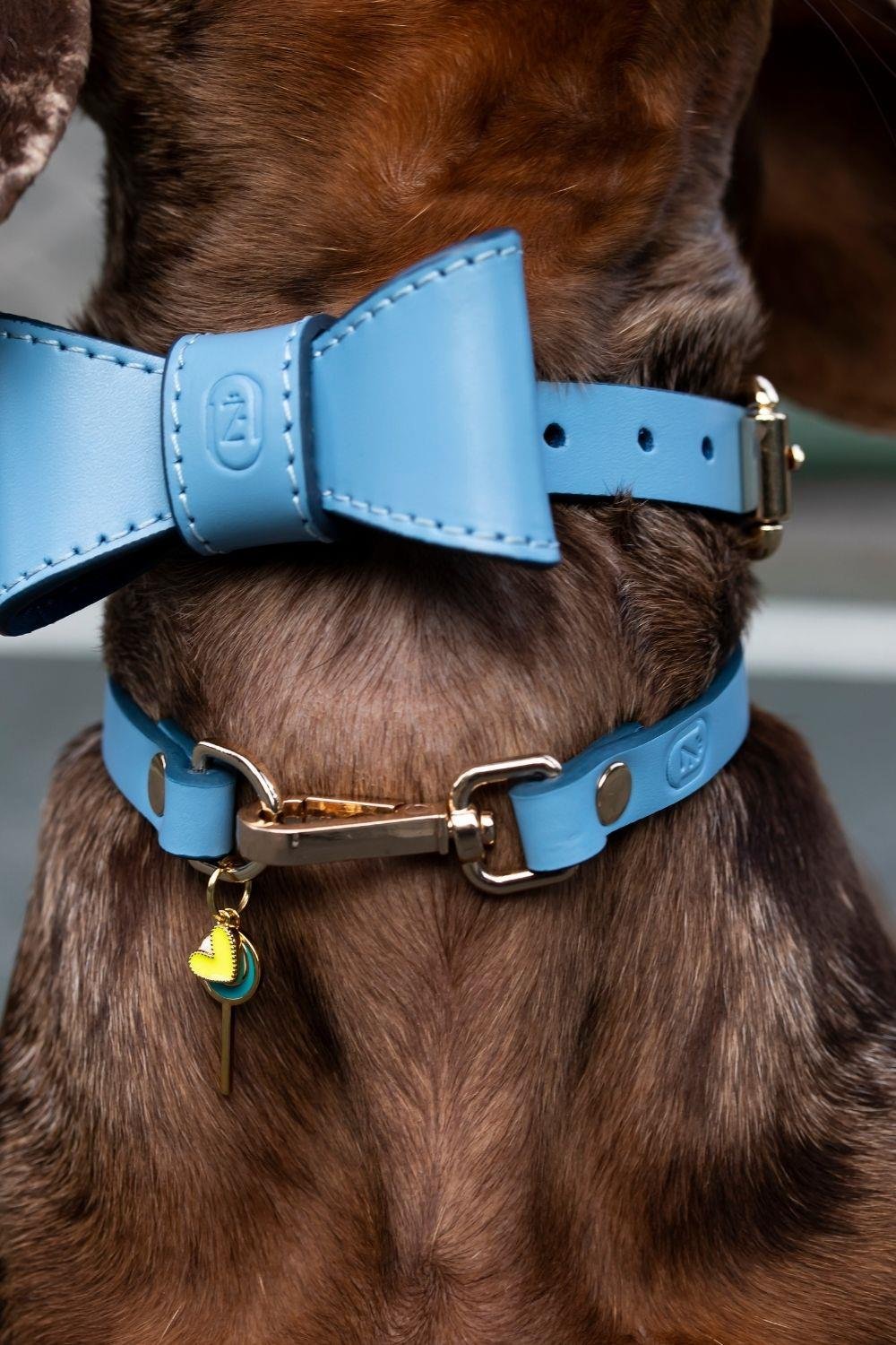 Zoe Pet Atelier Charm Boyun Tasması - Mavi