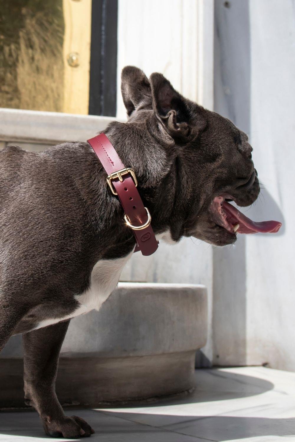 Zoe Pet Atelier Classic Boyun Tasması - Bordo