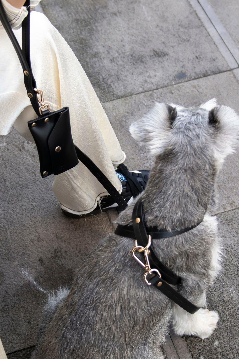 Zoe Pet Atelier Classic Köpek Gezdirme Kayışı - Siyah