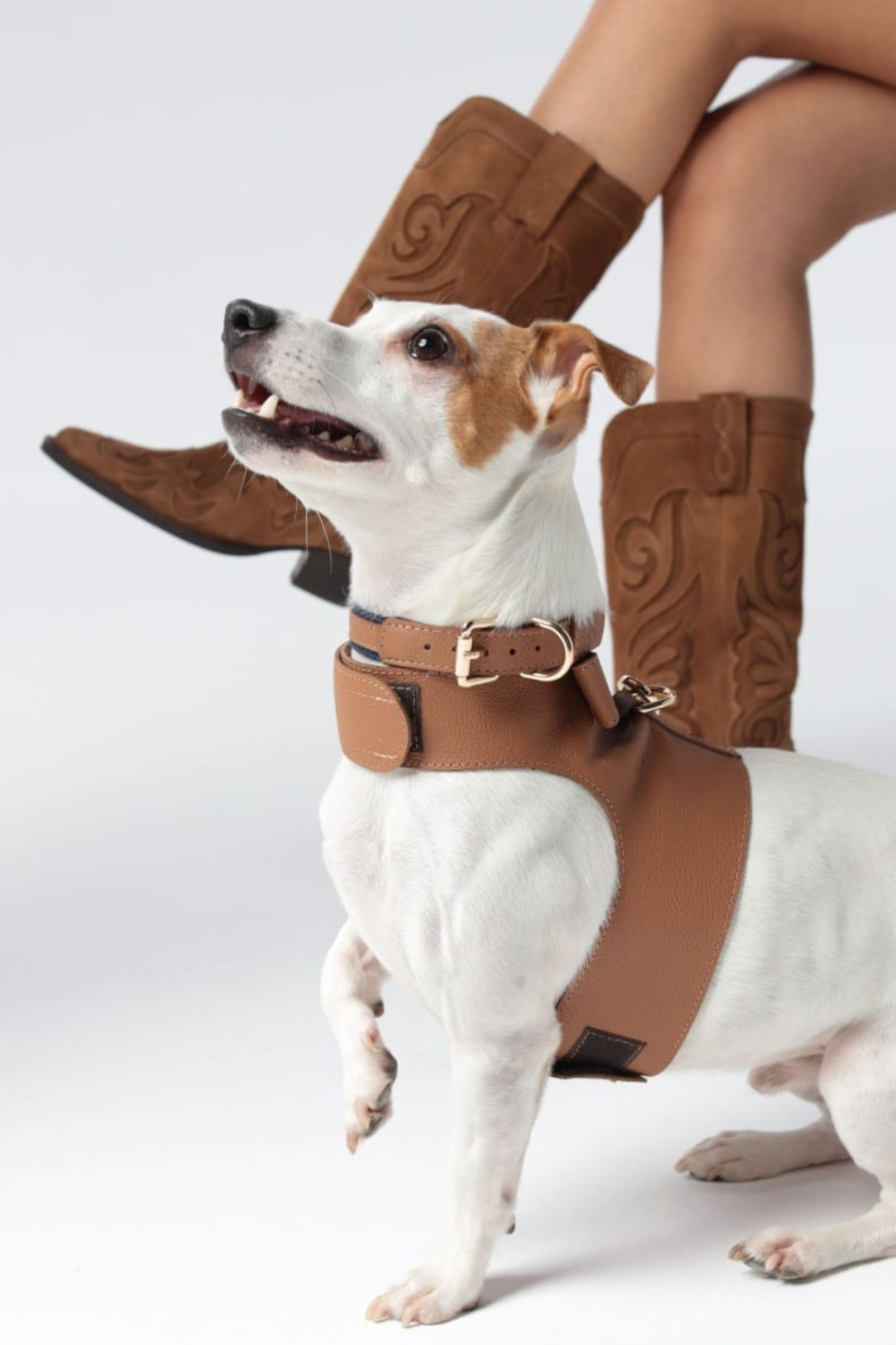 Zoe Pet Atelier Cotton & Leather Boyun Tasması Kahve