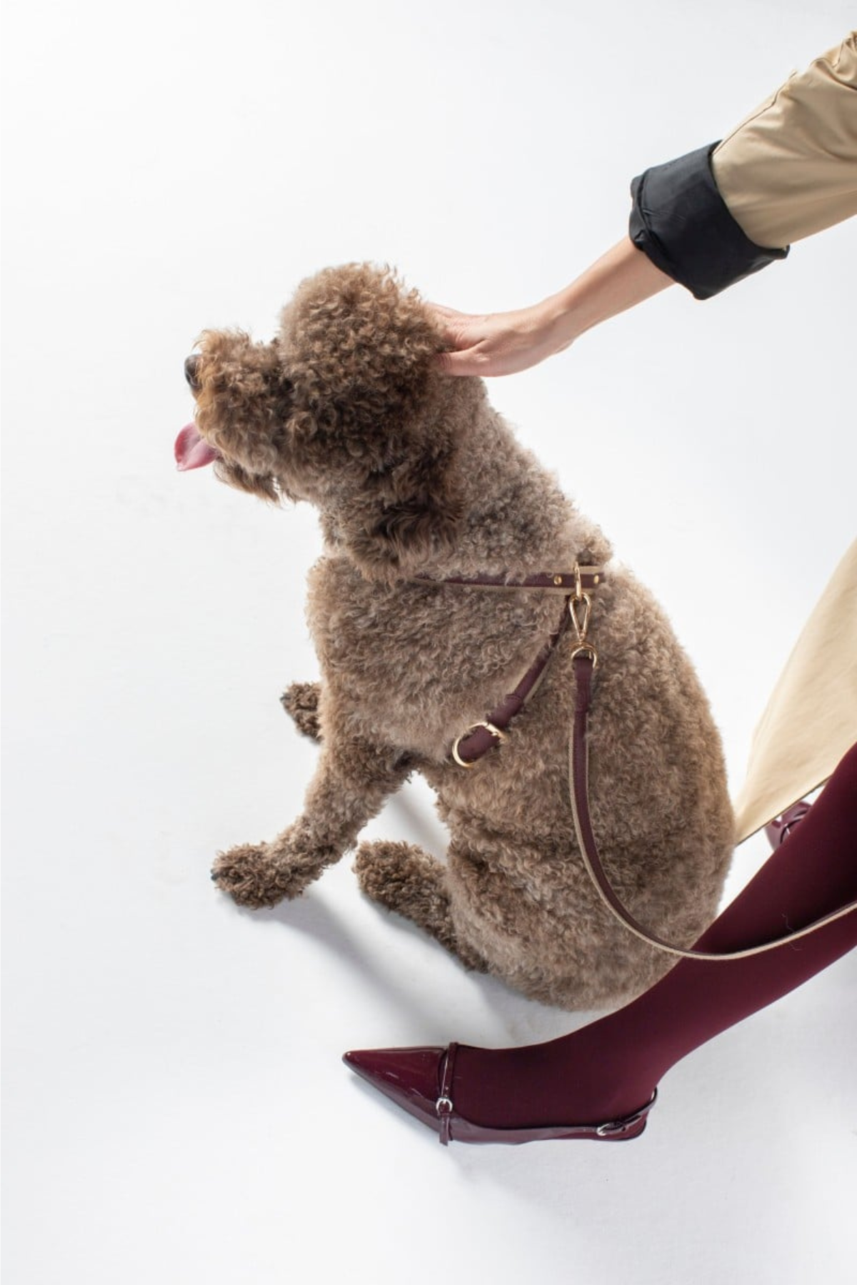 Zoe Pet Atelier Cotton&Leather Cross Göğüs Tasması Bordo 