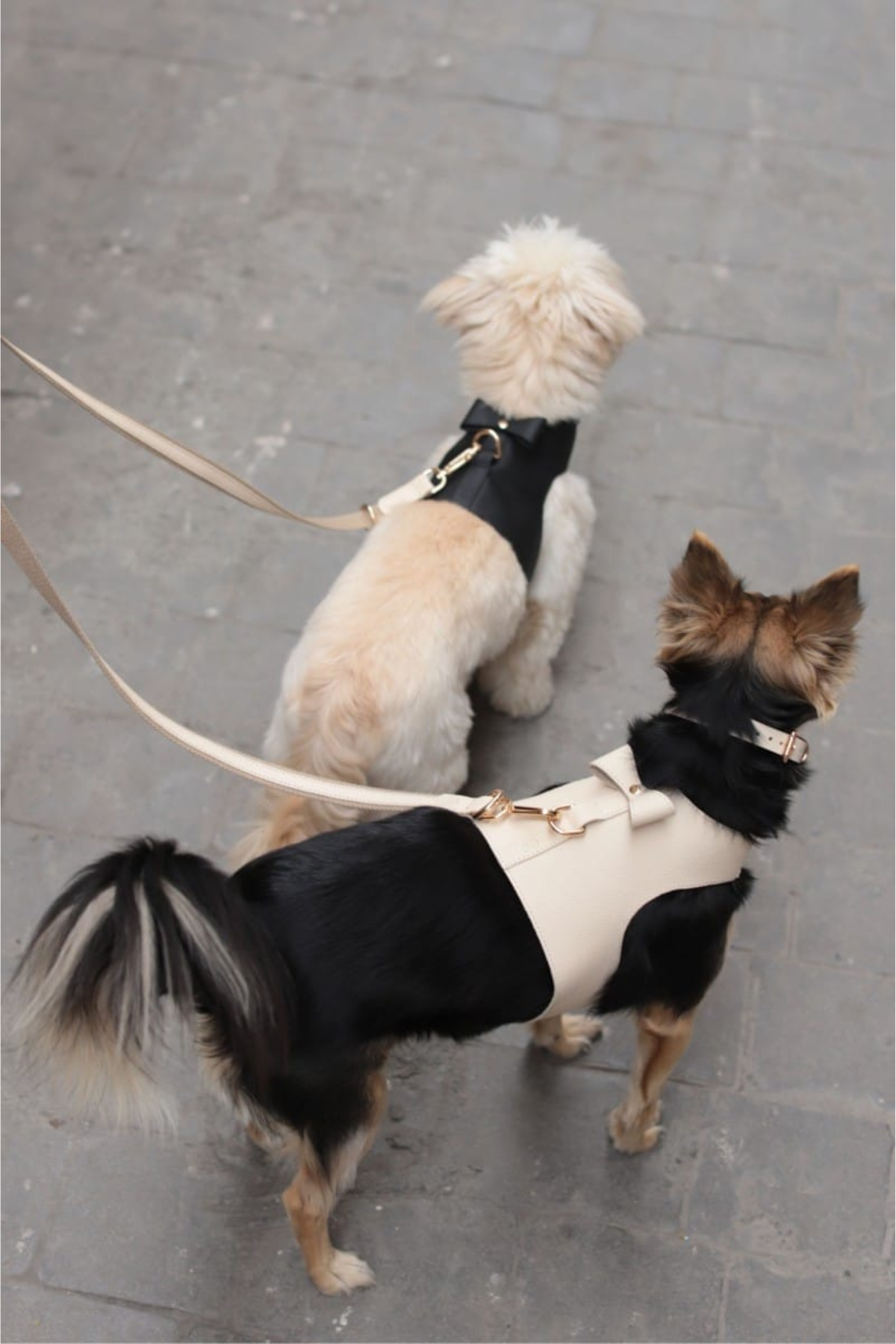 Zoe Pet Atelier Cotton&Leather Multi Leash Gezdirme Tasması Bej 