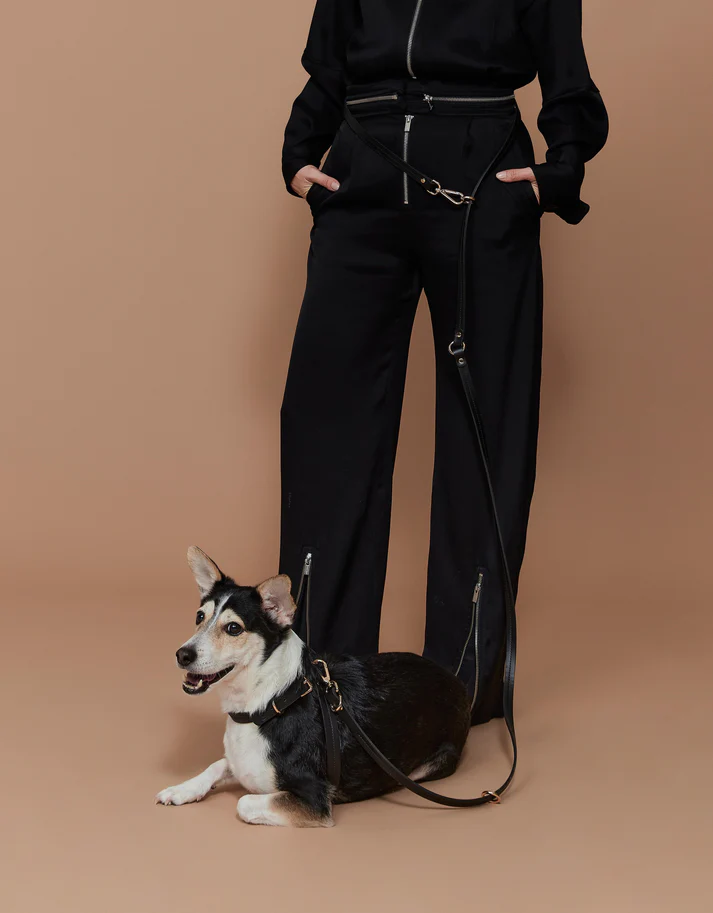 Zoe Pet Atelier Multi Köpek Gezdirme Kayışı - Siyah