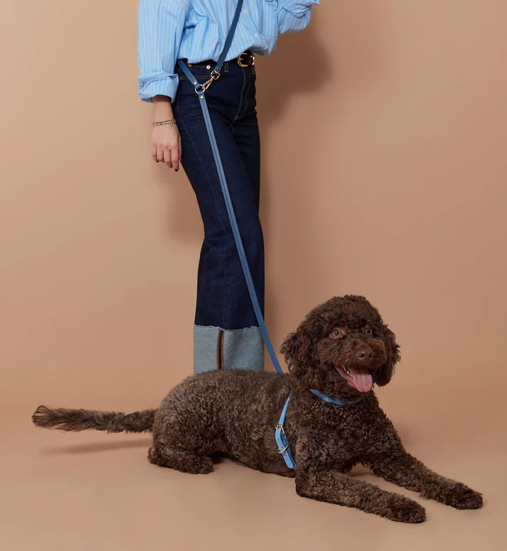 Zoe Pet Atelier Multi Köpek Gezdirme Kayışı - Lacivert/Mavi