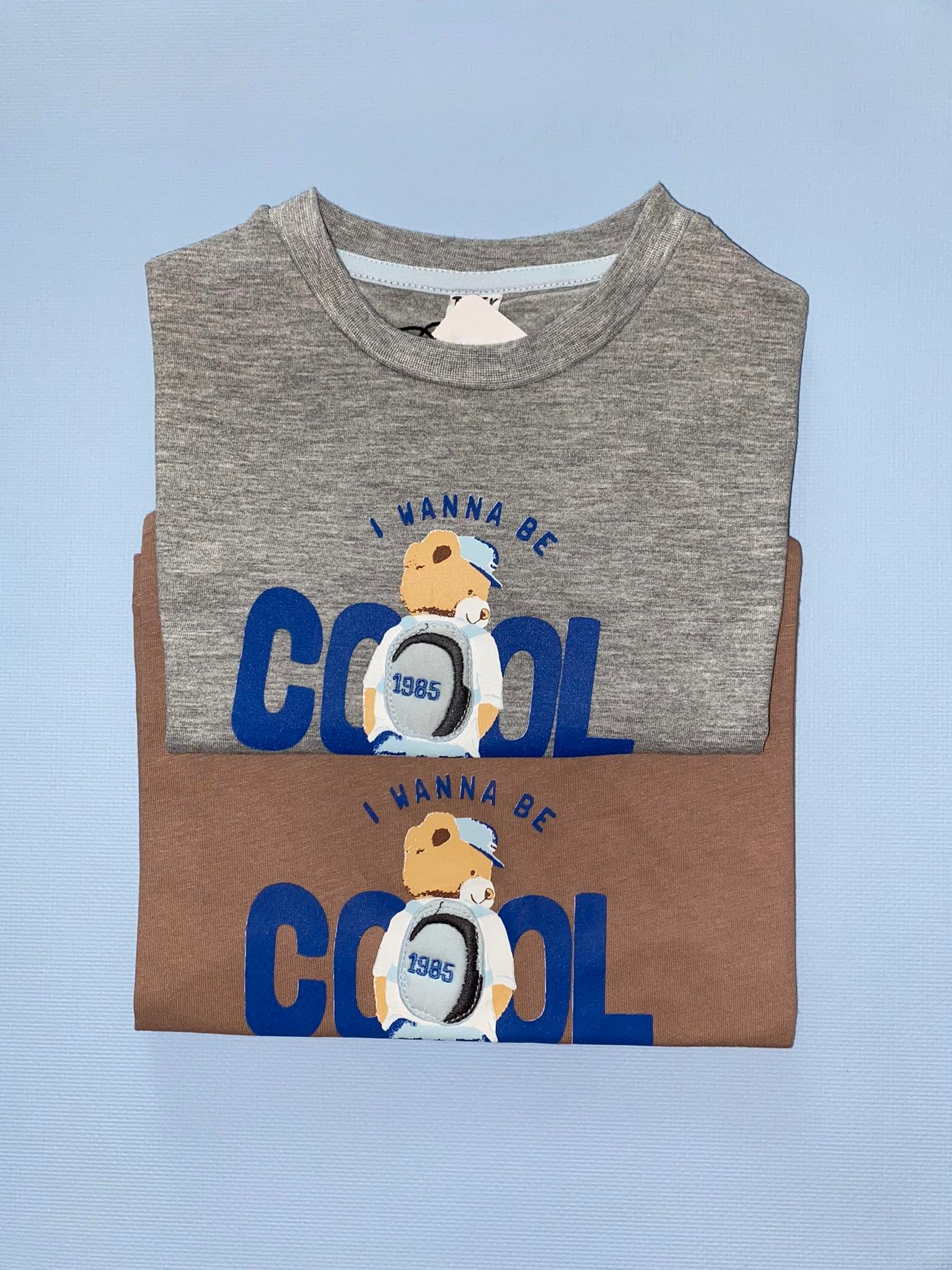 Cool Teddy Tshirt