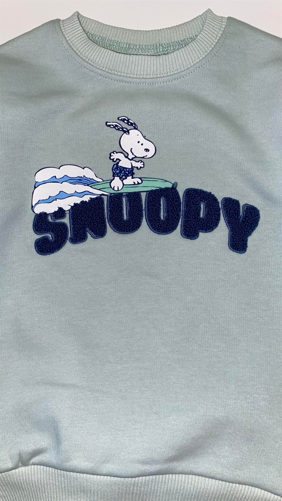Snoopy Takım