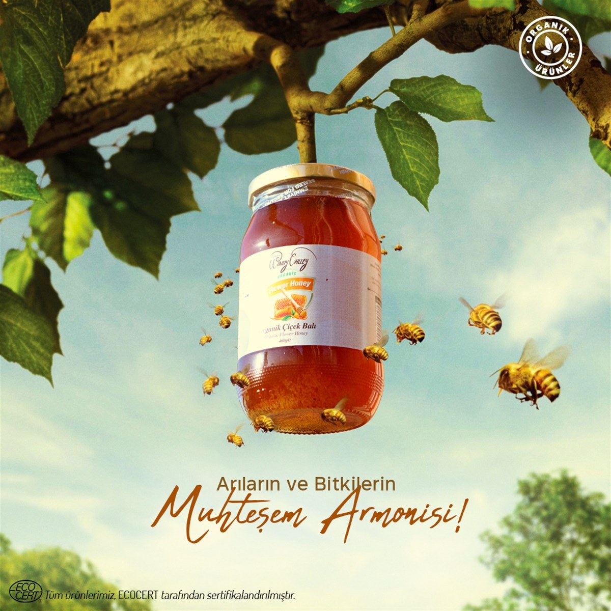 Organik Çiçek Balı Tunceli Pülümür Ecocert Sertifikalı (500gr)