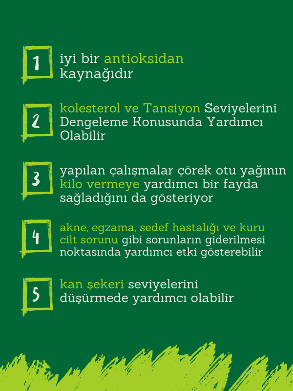 Organik Çörekotu Yağı 250 ml Soğuk sıkım Ecocert Sertifikalı 