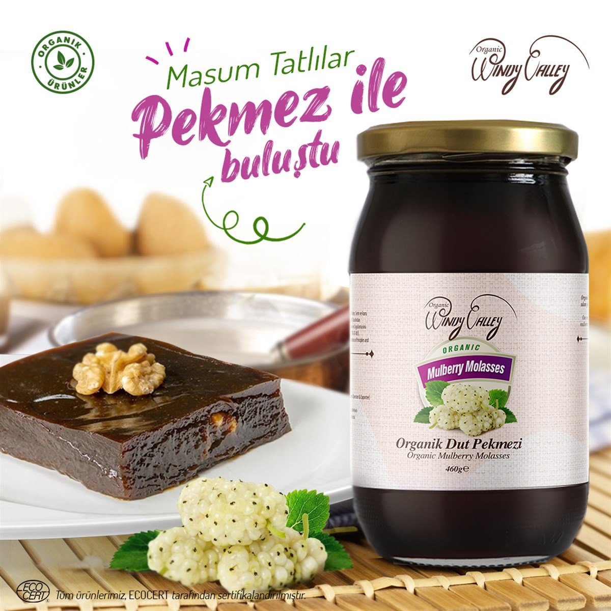 Organik Dut Pekmezi (460gr)