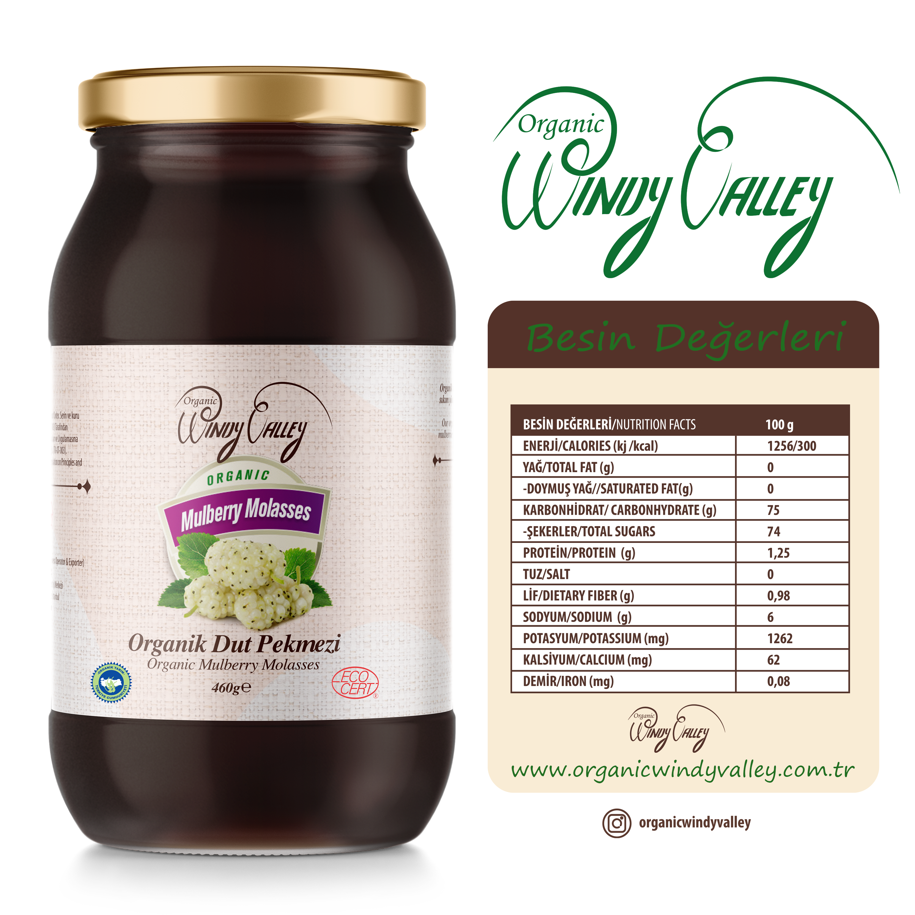 Organik Dut Pekmezi Soğuk Sıkım Katkısız Şeker ilavesiz  (460gr)