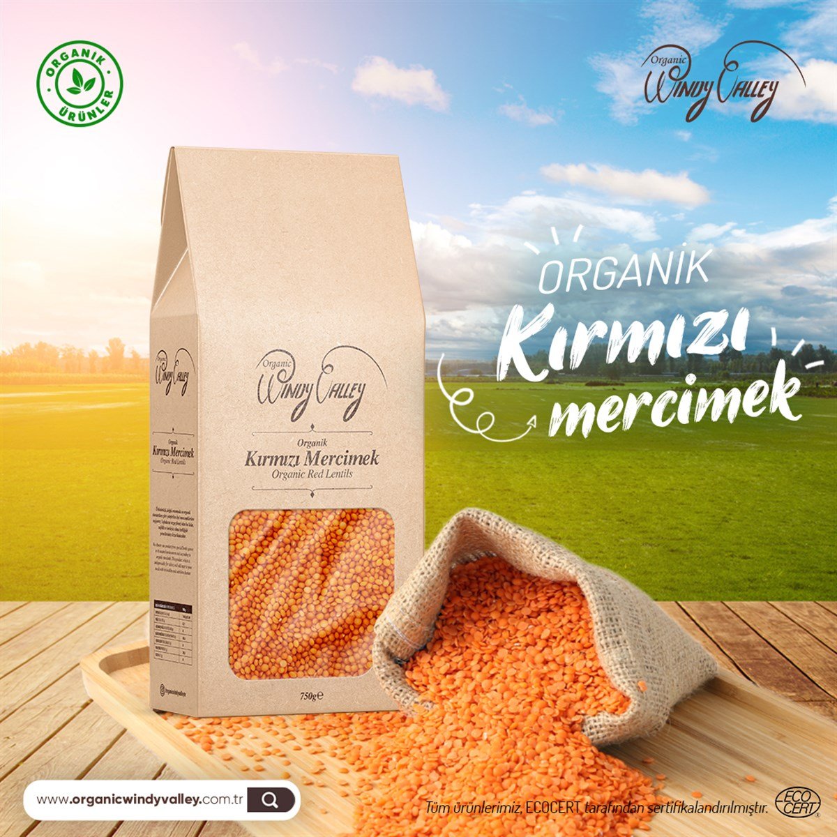 Organik Kırmızı Mercimek (750gr)