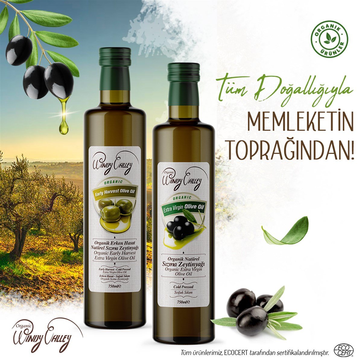 Organik Sızma Zeytinyağı (750ml)