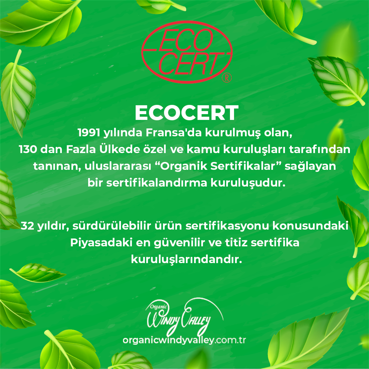 Organik Tam Buğday Unu Ecocert Sertifikalı (1Kg)