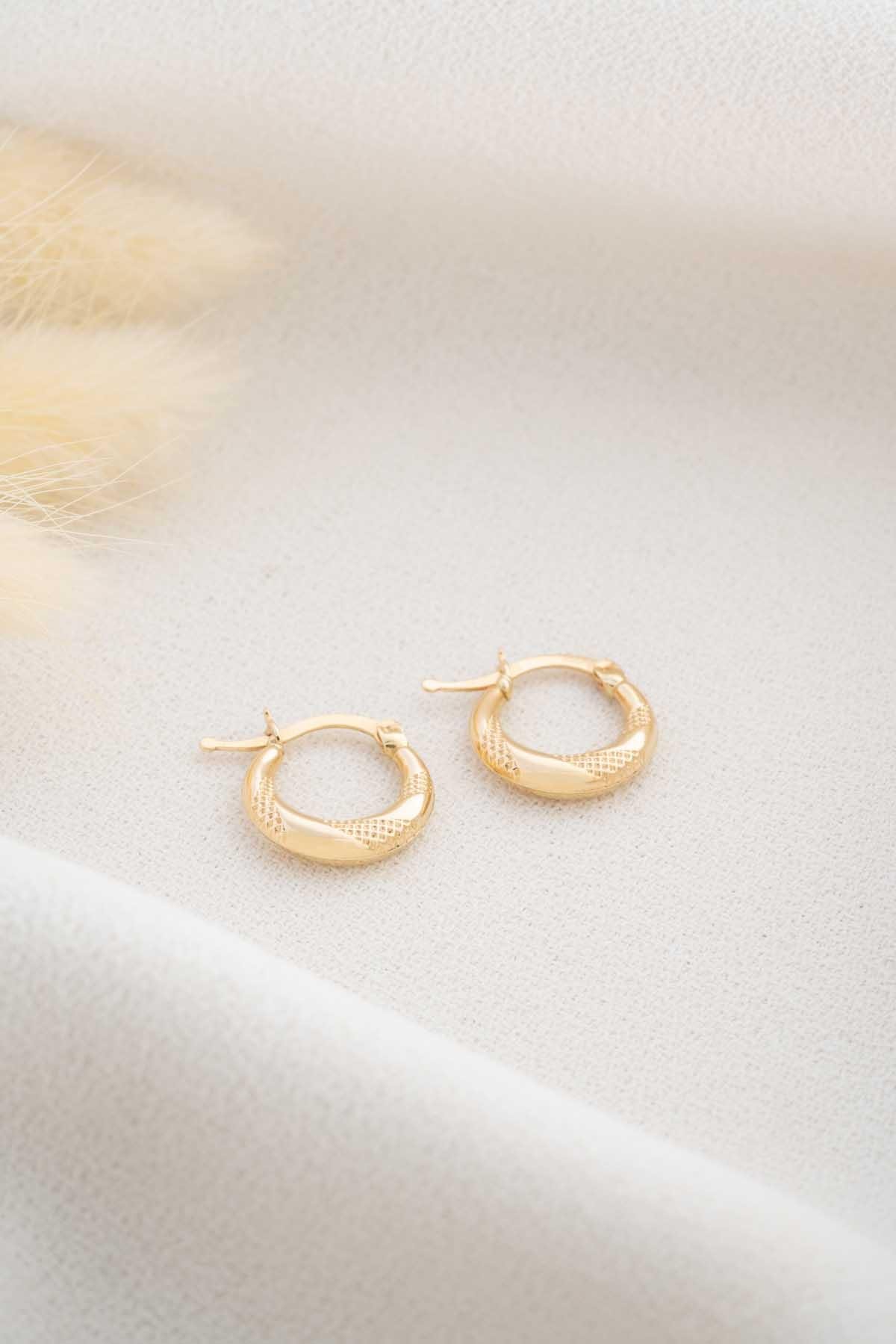 14 Ayar Altın Hasır Burgulu Küpe 0.8 cm