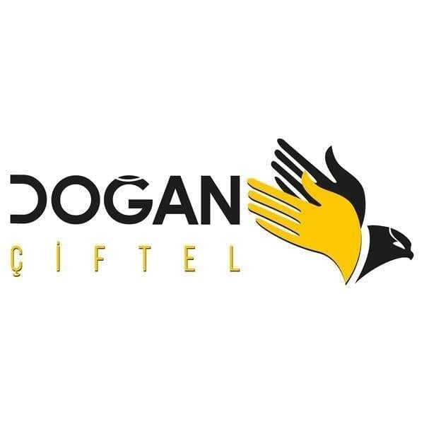 Doğan Çiftel 22 No Et Kıyma Makinesi Paslanmaz Ayna 4,5 mm