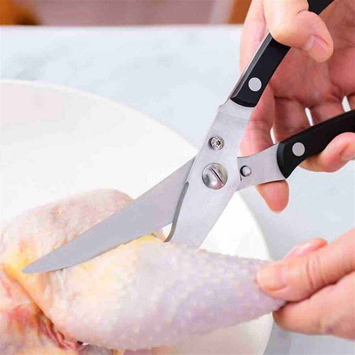 Epinox TM-01 Tavuk Makası