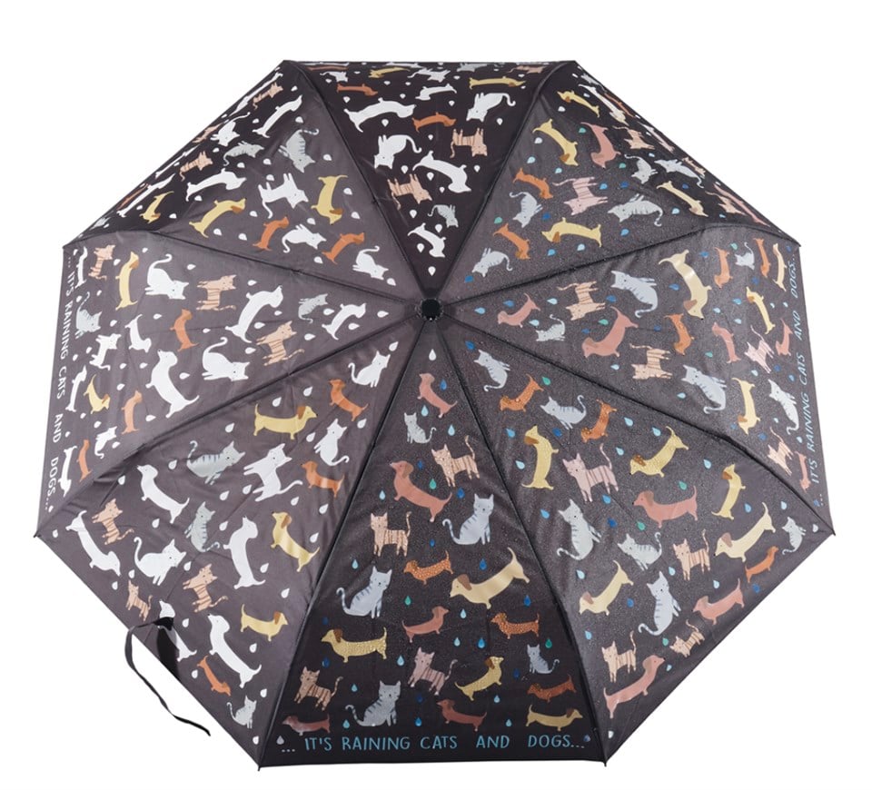 Floss & Rock Renk Değiştiren Şemsiye / Raining Cats & Dogs