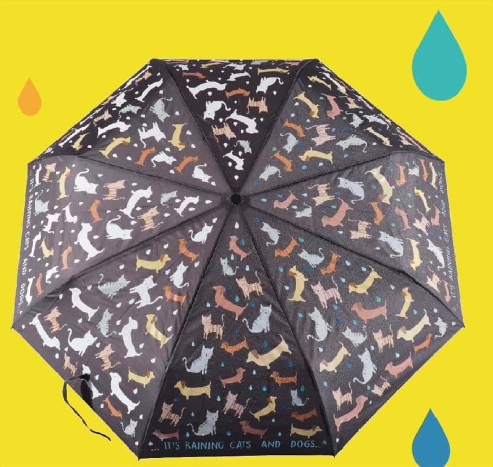 Floss & Rock Renk Değiştiren Şemsiye / Raining Cats & Dogs