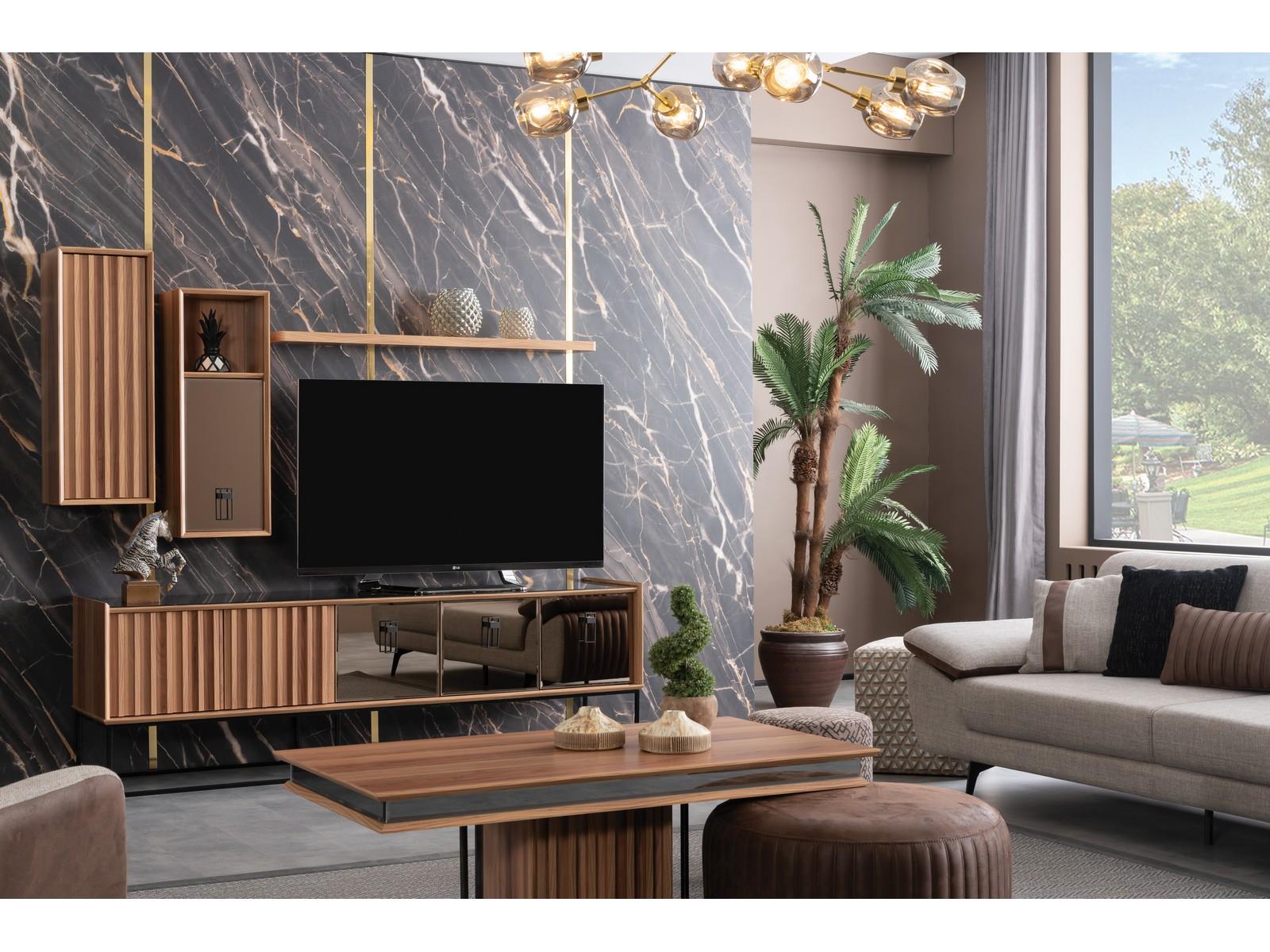 lion-tv-unite-df60c6.jpg
