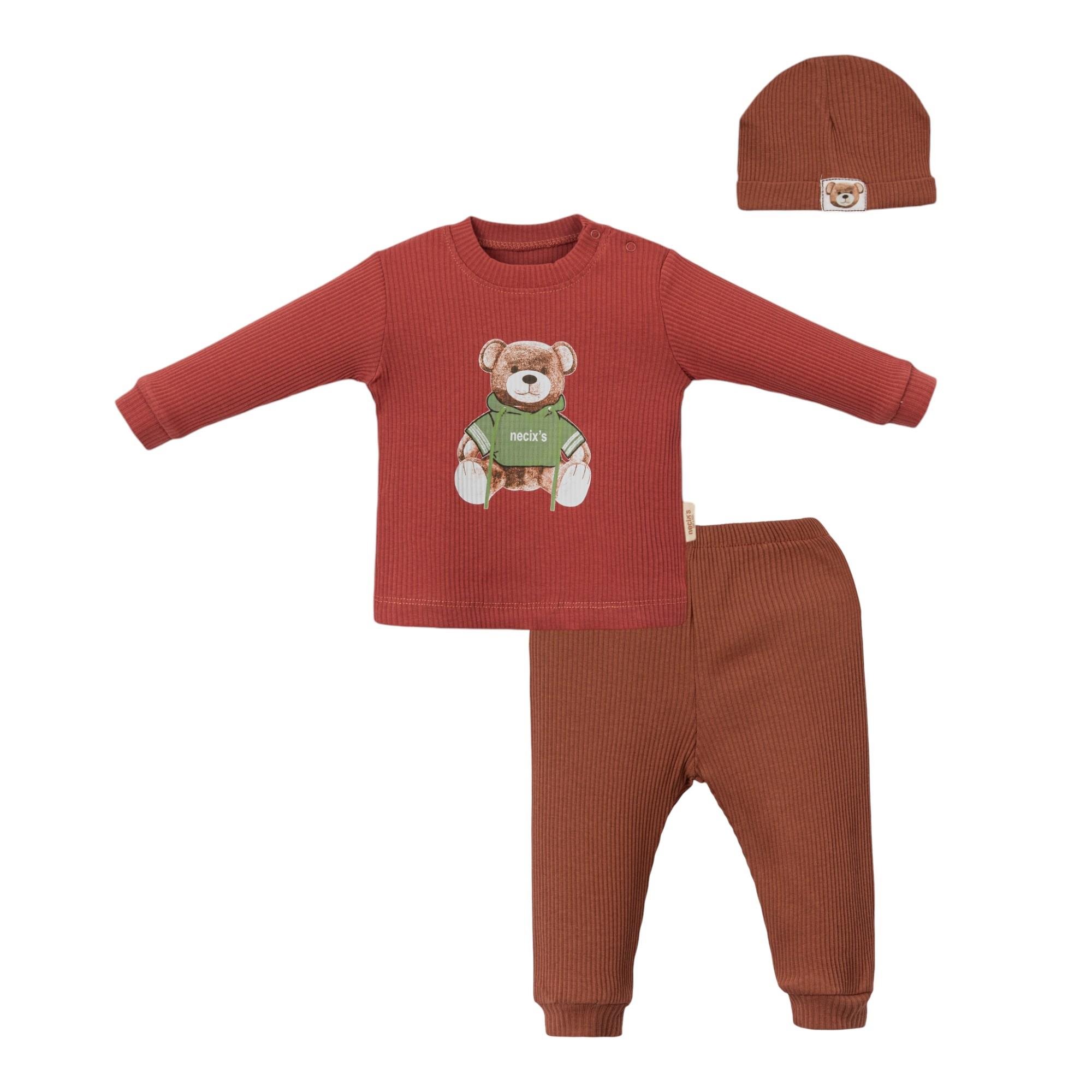 Edmonton Ayı Desenli Erkek Bebek Patikli İkili Takım