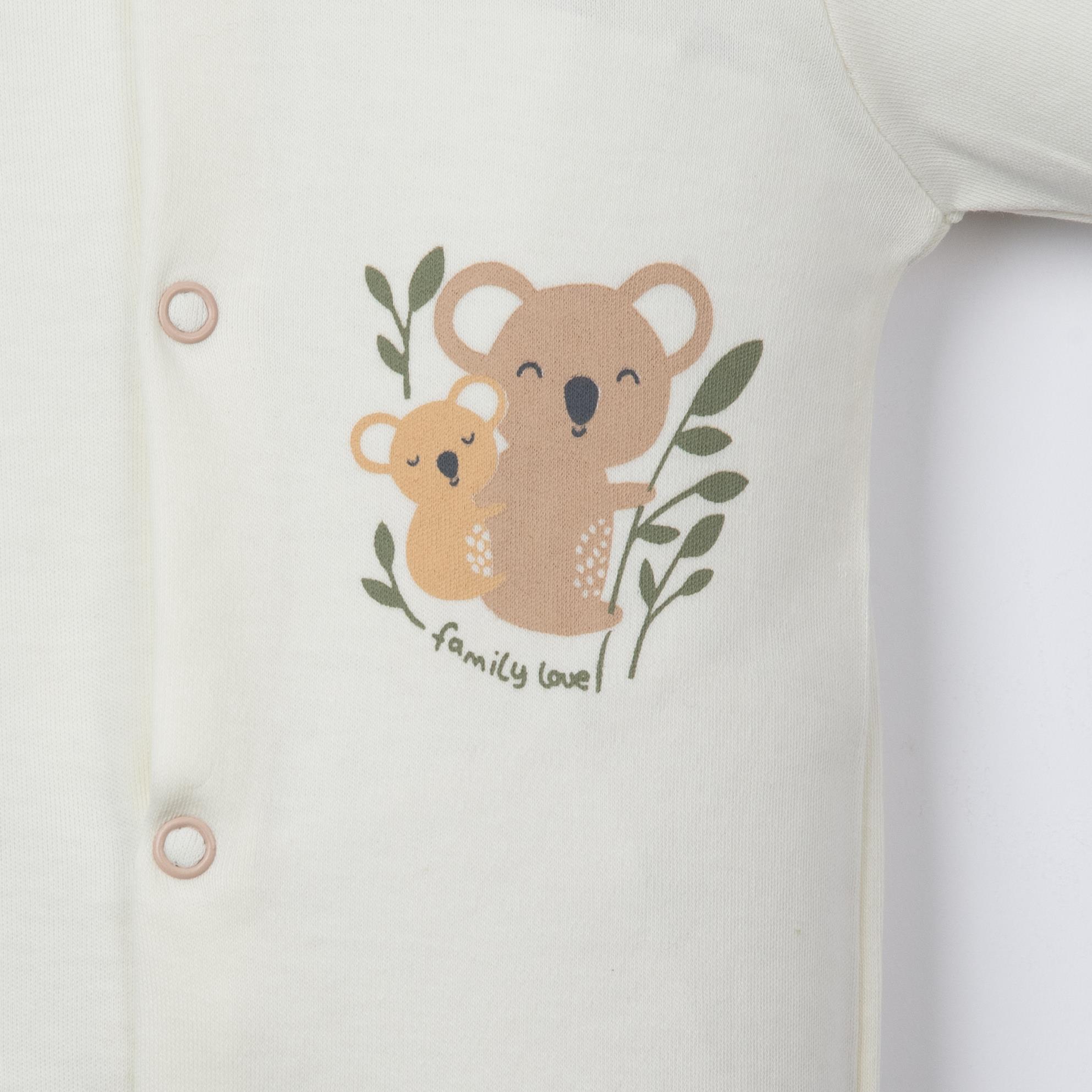 Koala Baskılı Erkek Bebek Patikli Üçlü Tulum