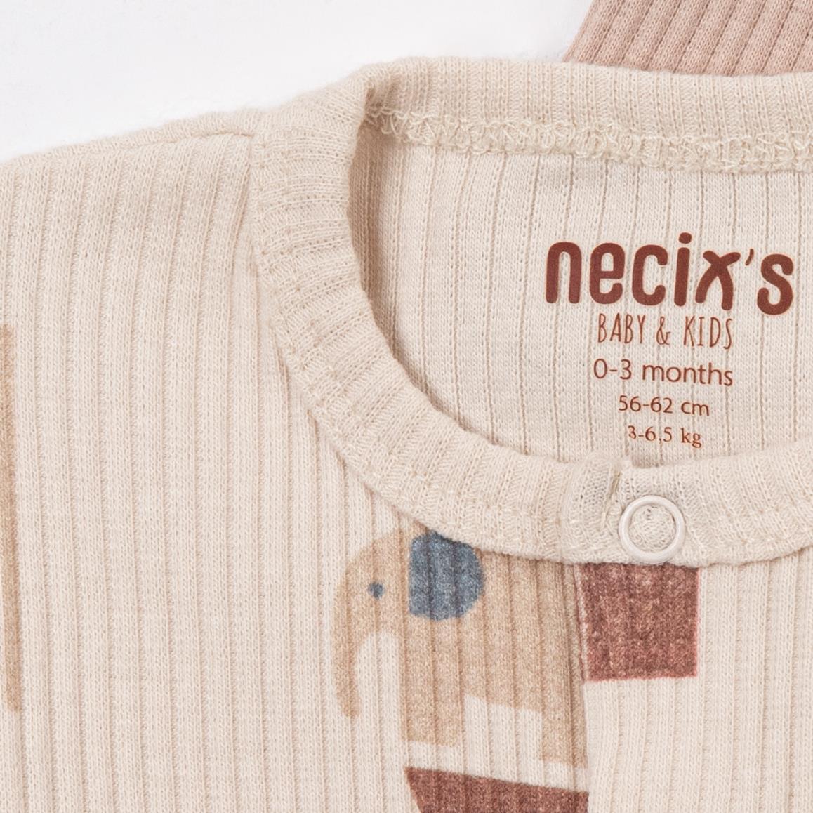 NECİXS SHAPEHANT TEKBOY TULUM