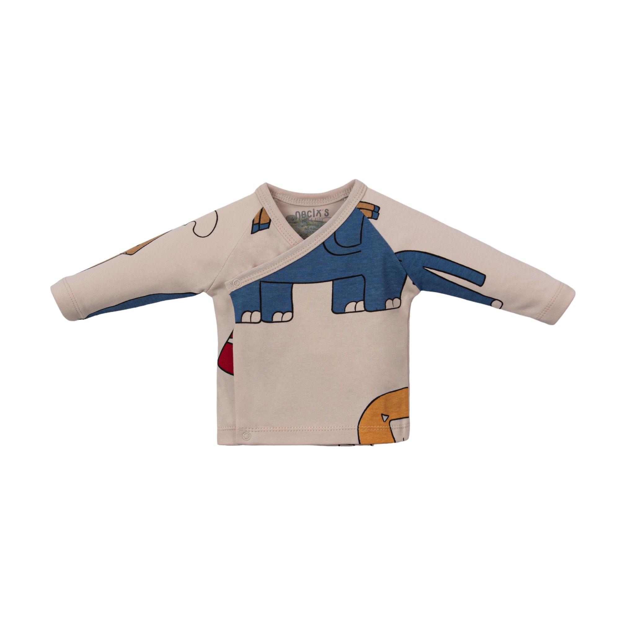 Painted Erkek Bebek Hastane Çıkışı Beşli Set