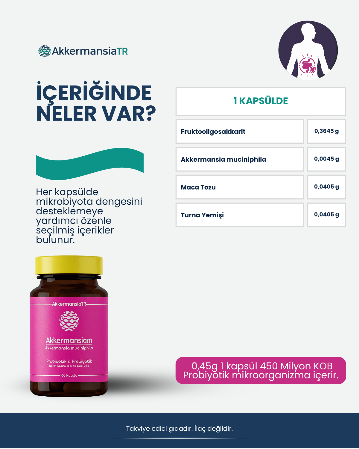 Akkermansiam (60 Kapsül)