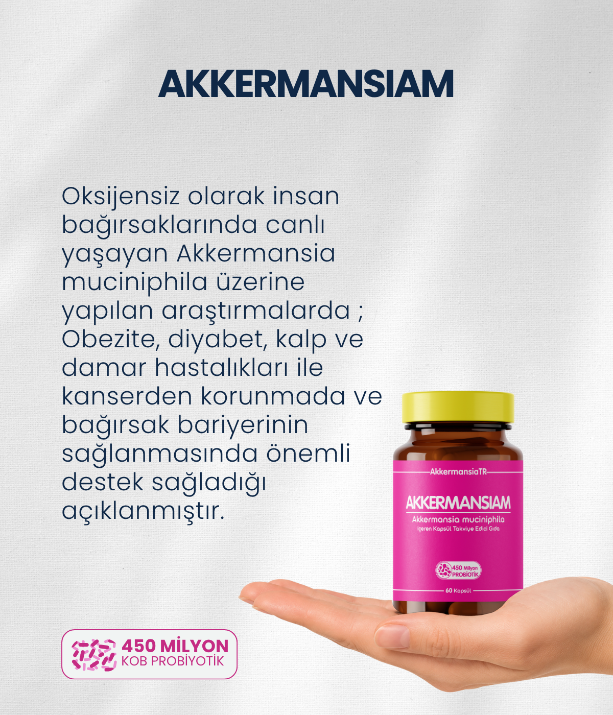 Akkermansiam (60 Kapsül)