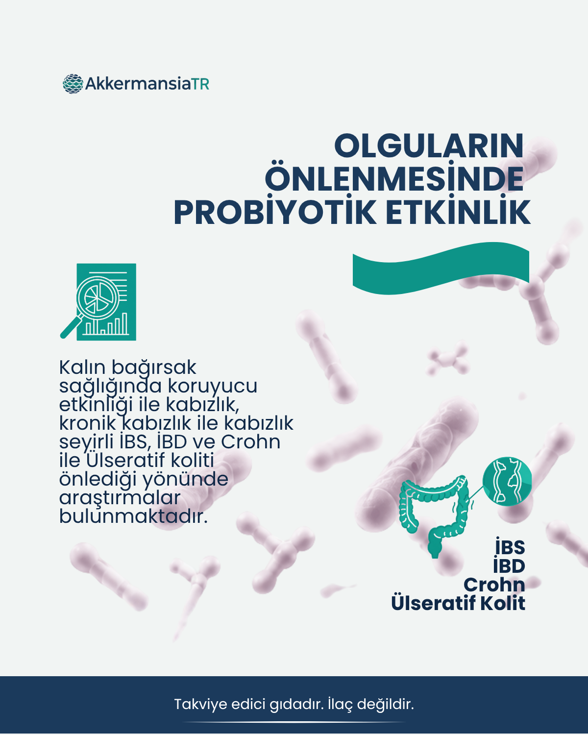 Akkermansiam-B (60 Kapsul)