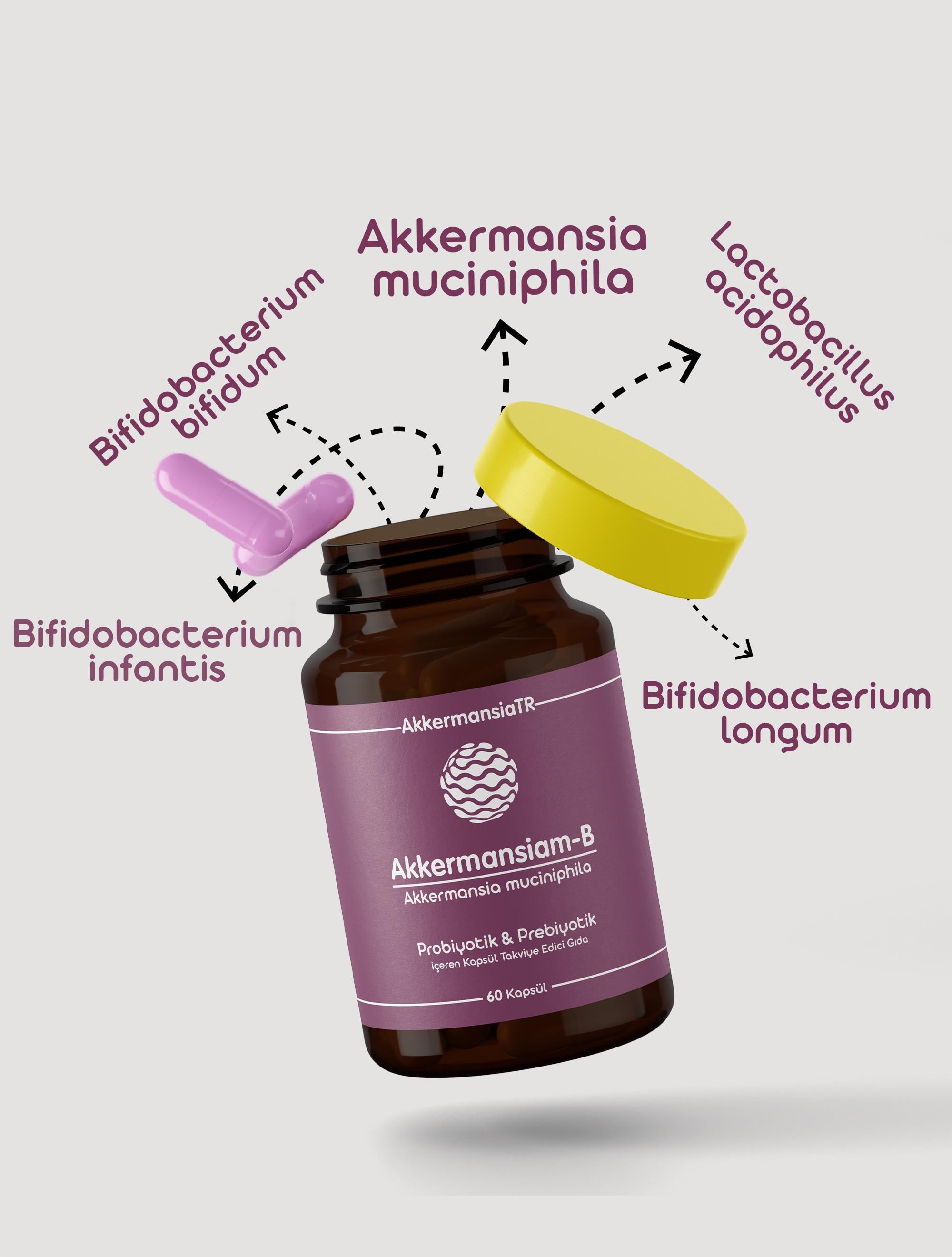 Akkermansiam-B (60 Kapsul)