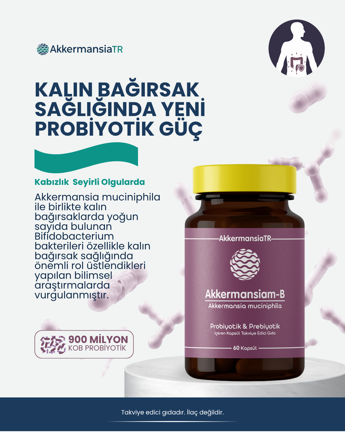 Akkermansiam-B (60 Kapsul)