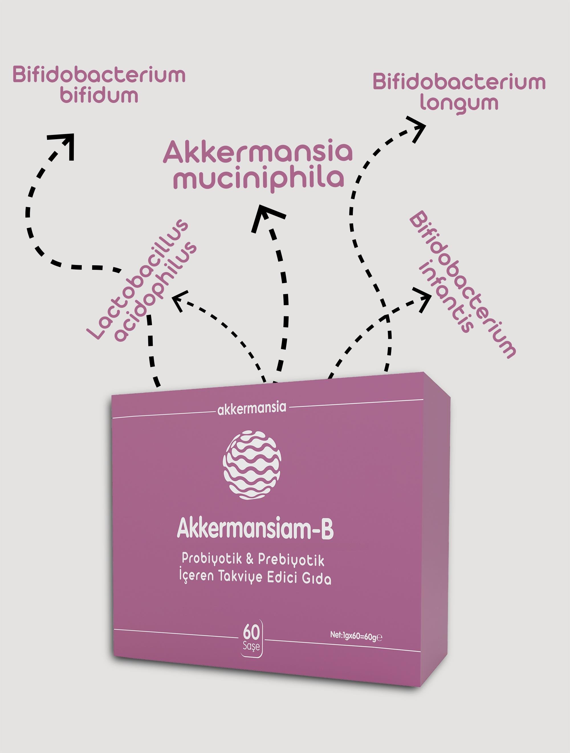 Akkermansiam-B (60 saşe) 