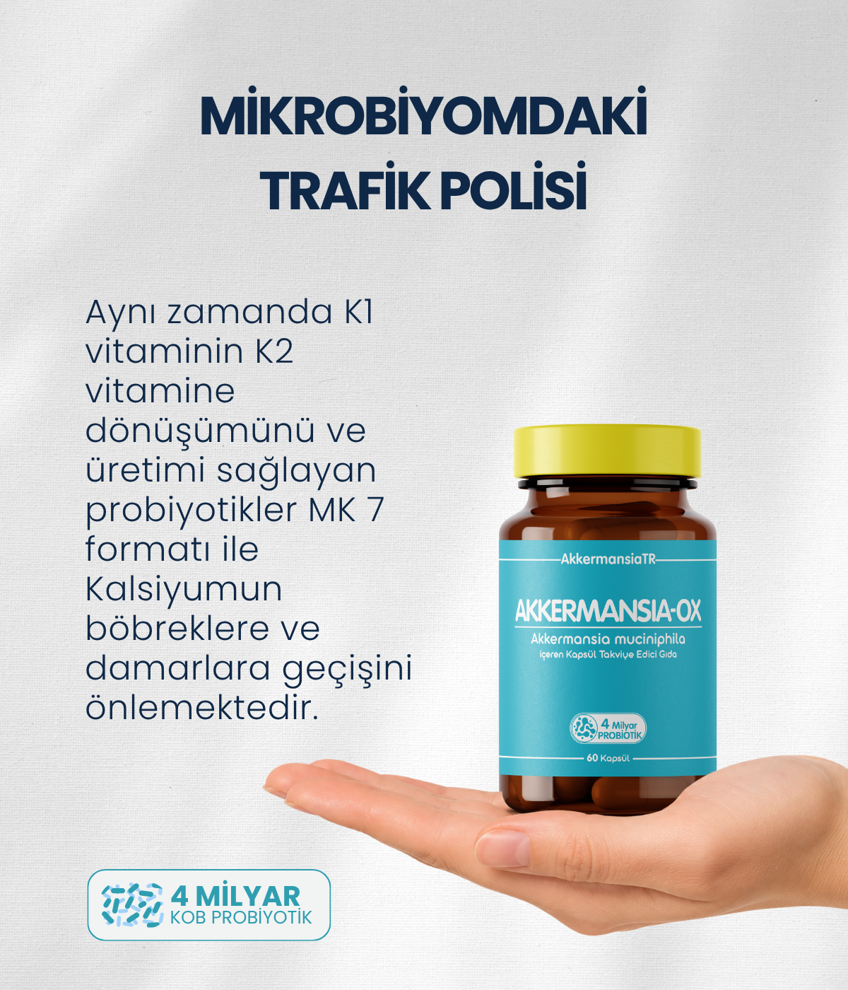 Akkermansiam-OX (60 Kapsül)