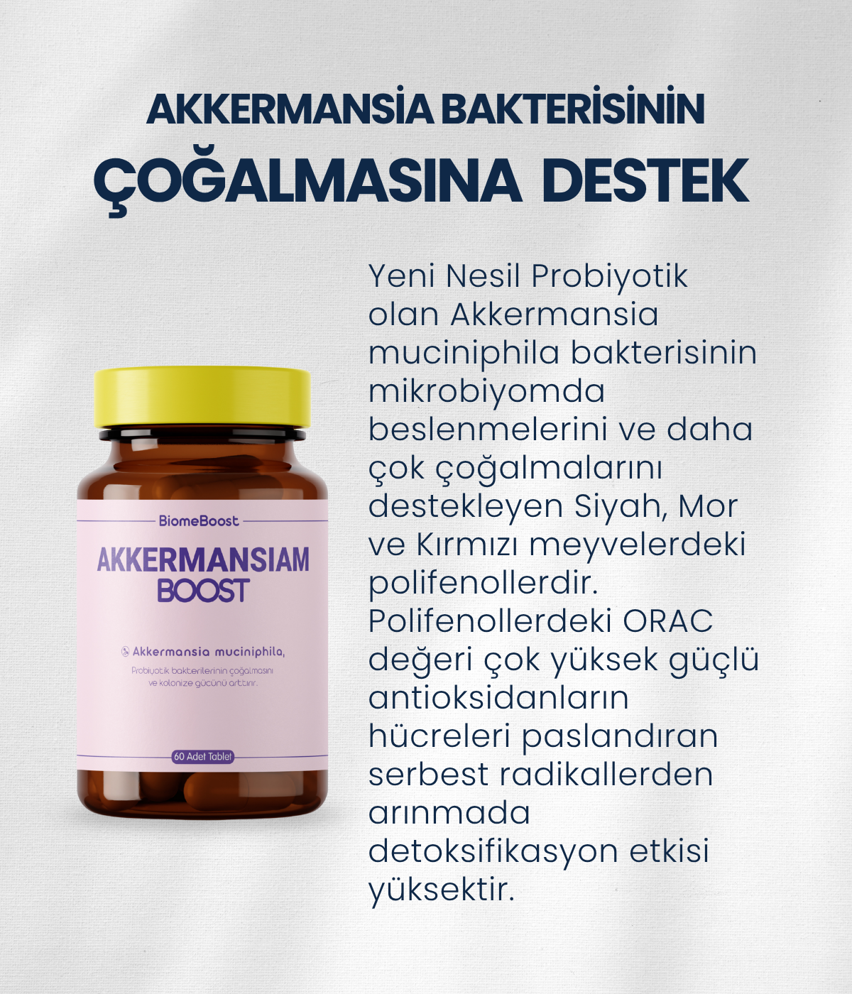 AkkermansiamBoost Emilebilir Form (60 Adet)