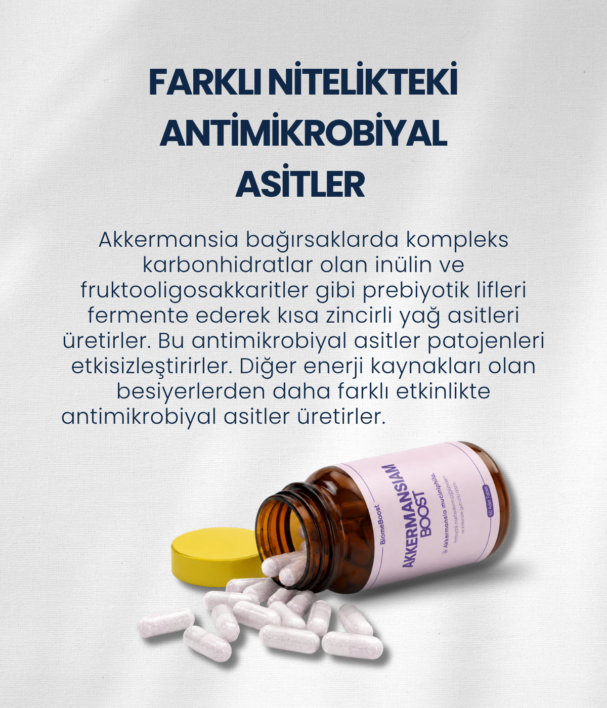AkkermansiamBoost Emilebilir Form (60 Adet)