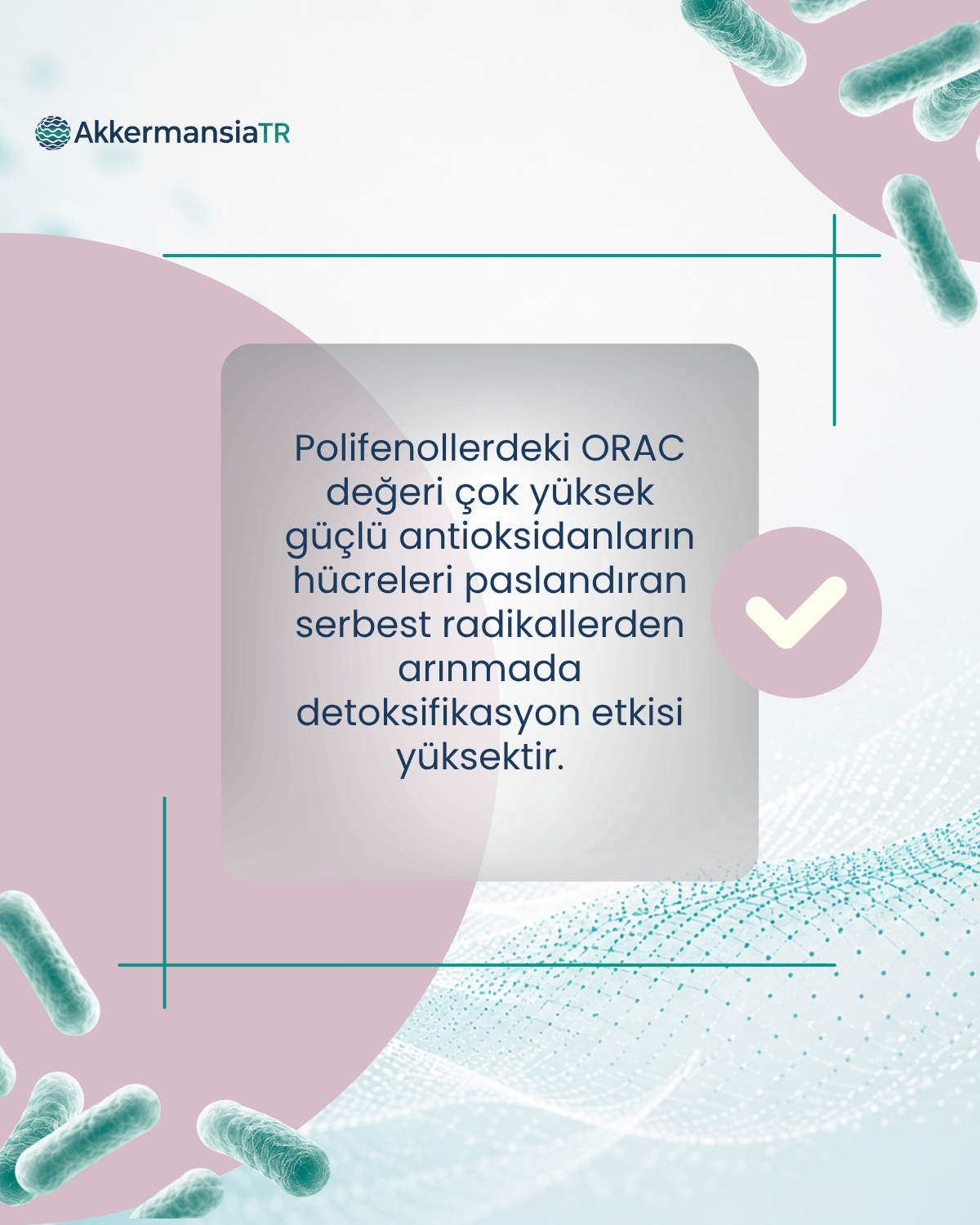 AkkermansiamBoost Emilebilir Form (60 Adet)
