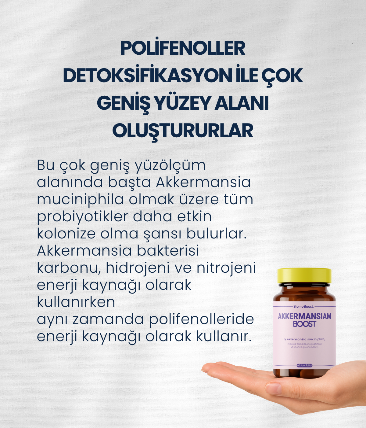 AkkermansiamBoost Emilebilir Form (60 Adet)