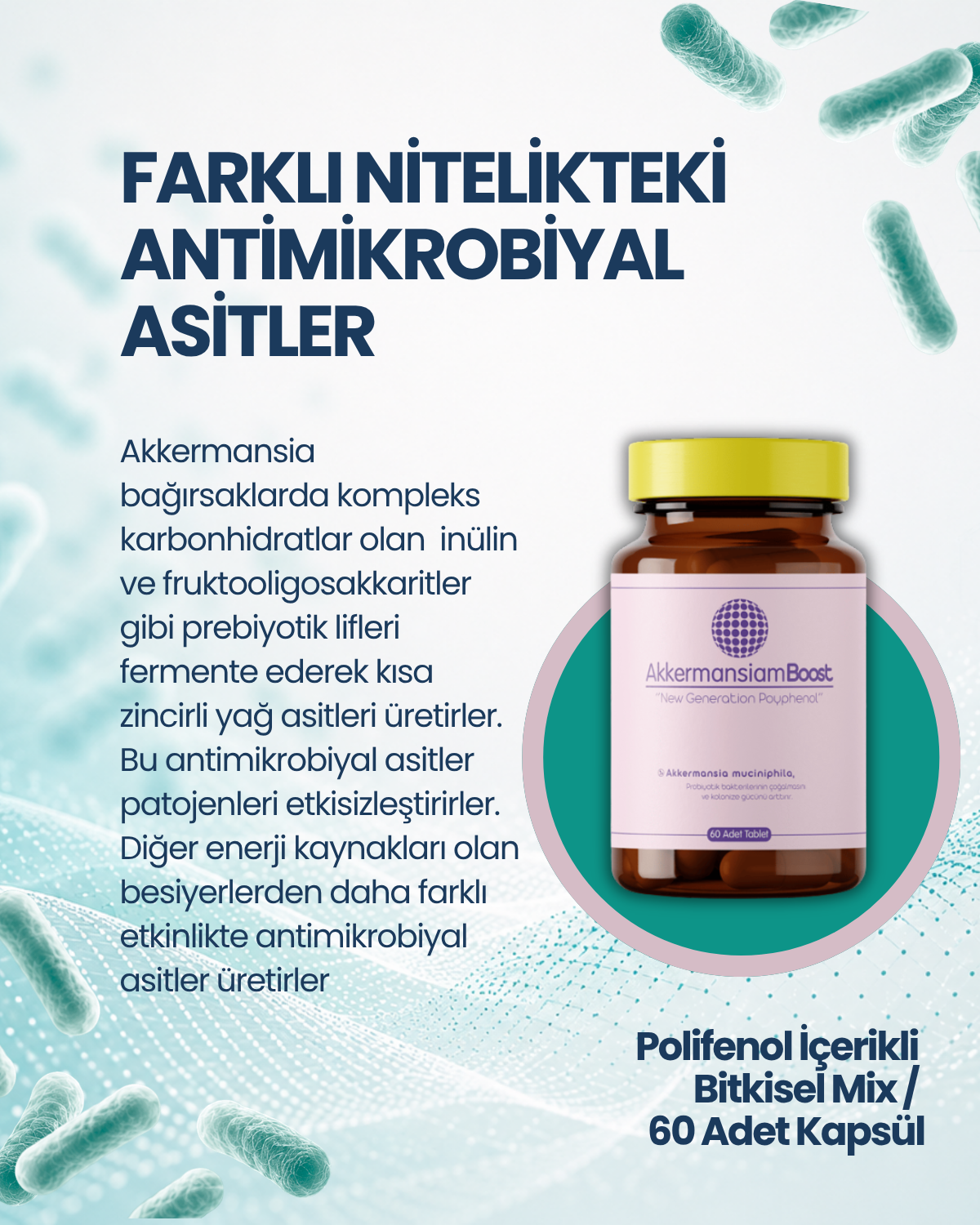 AkkermansiamBoost Emilebilir Form (60 Adet)