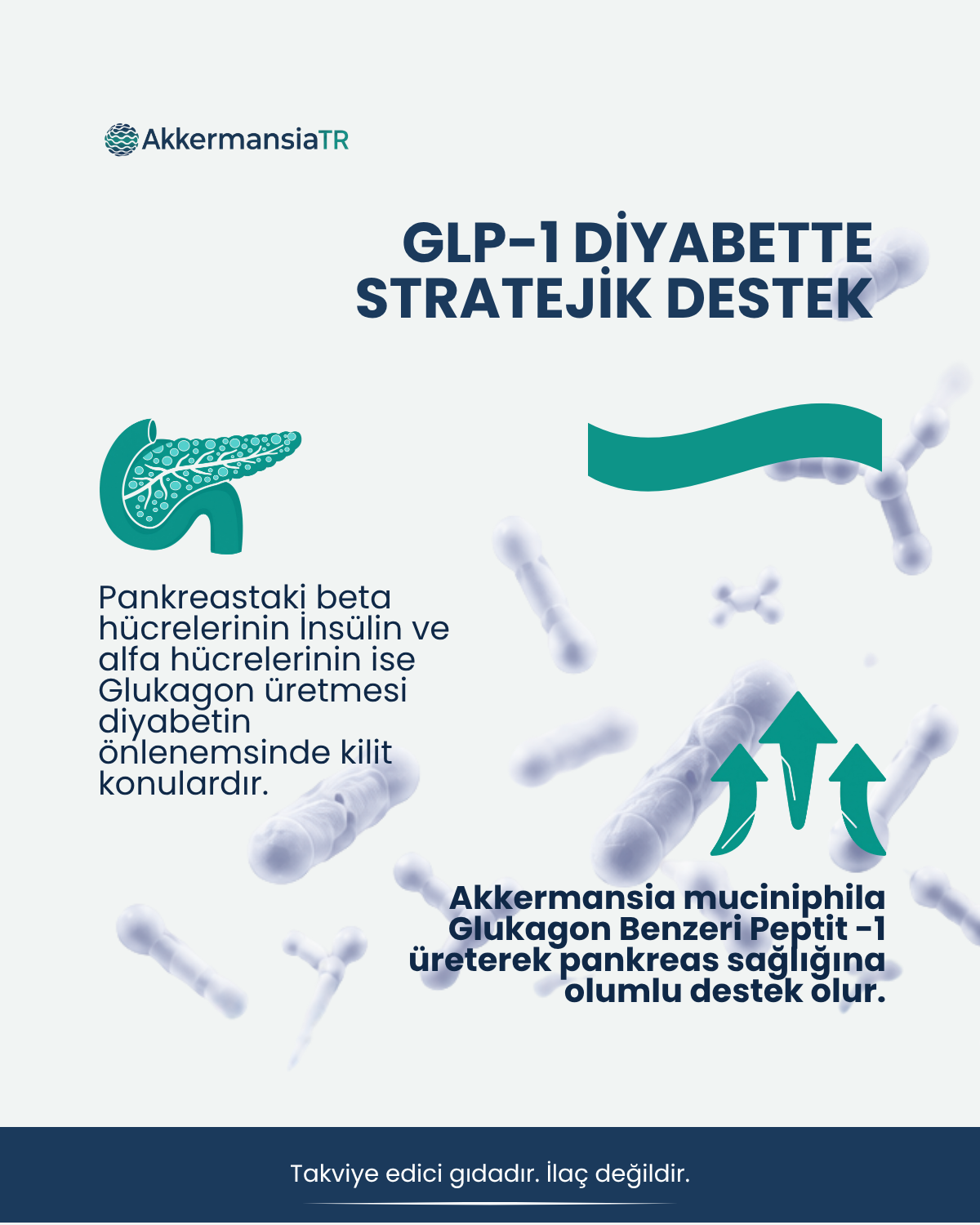 AkkermansiamPlus (60 Kapsul)