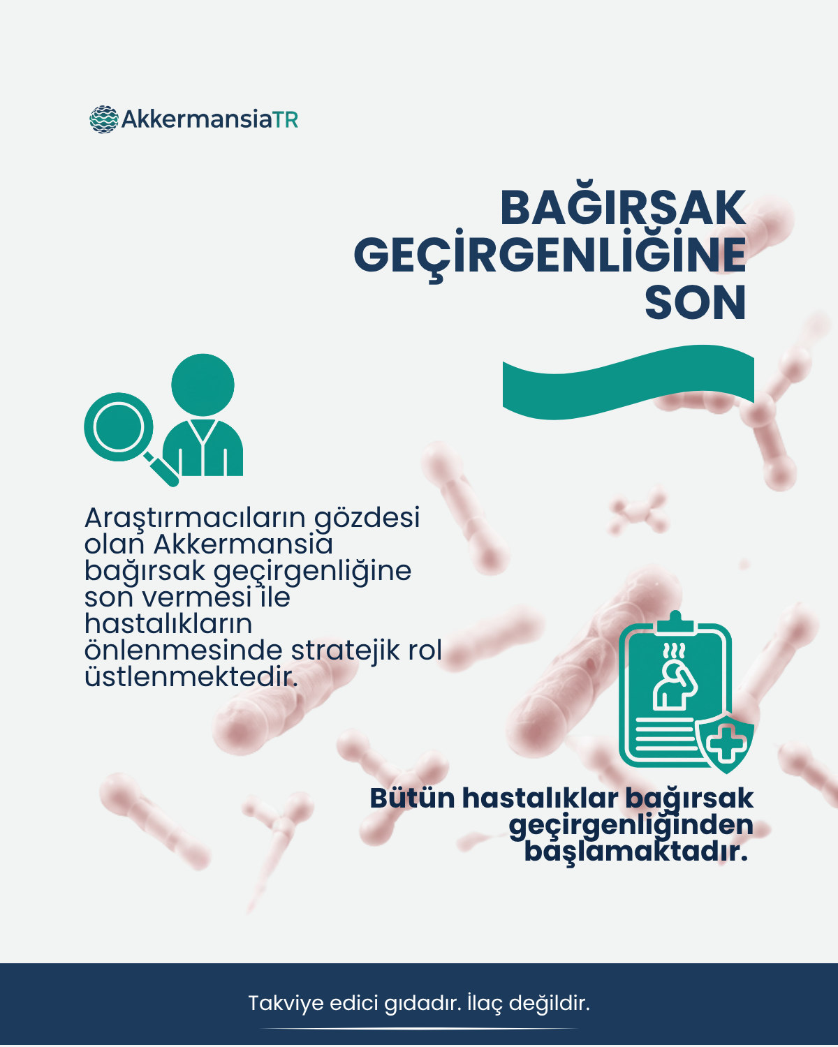 AkkermansiaTR (60 Kapsül)