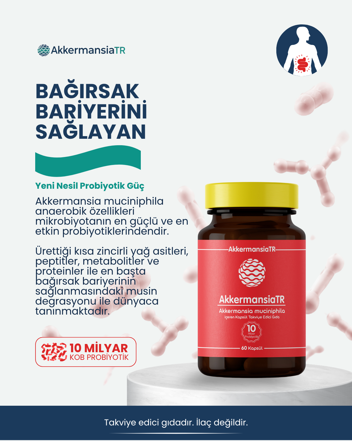 AkkermansiaTR (60 Kapsül)