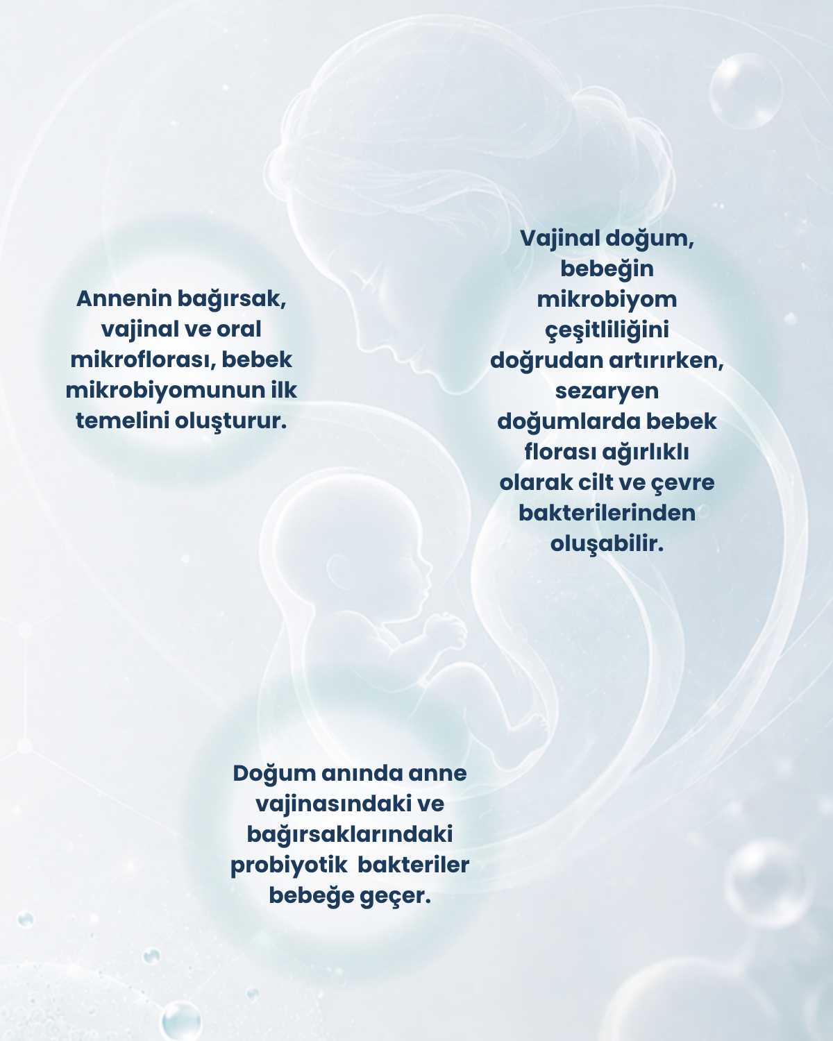 Anne/Bebek Sağlığı Probiyotik Seti