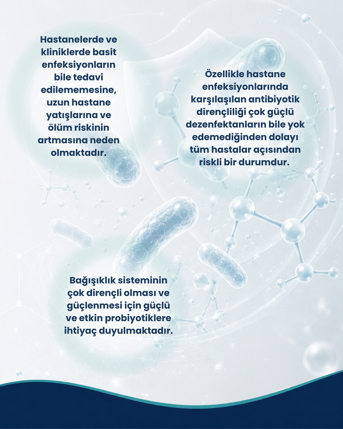 Antibiyotik Dirençliği Probiyotik Seti