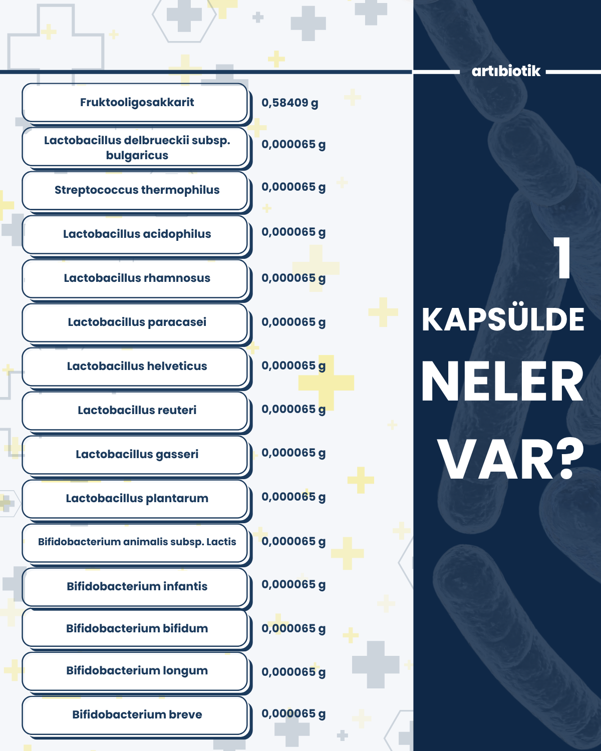 Artıbiotik Bestbiotik(60 Kapsül)
