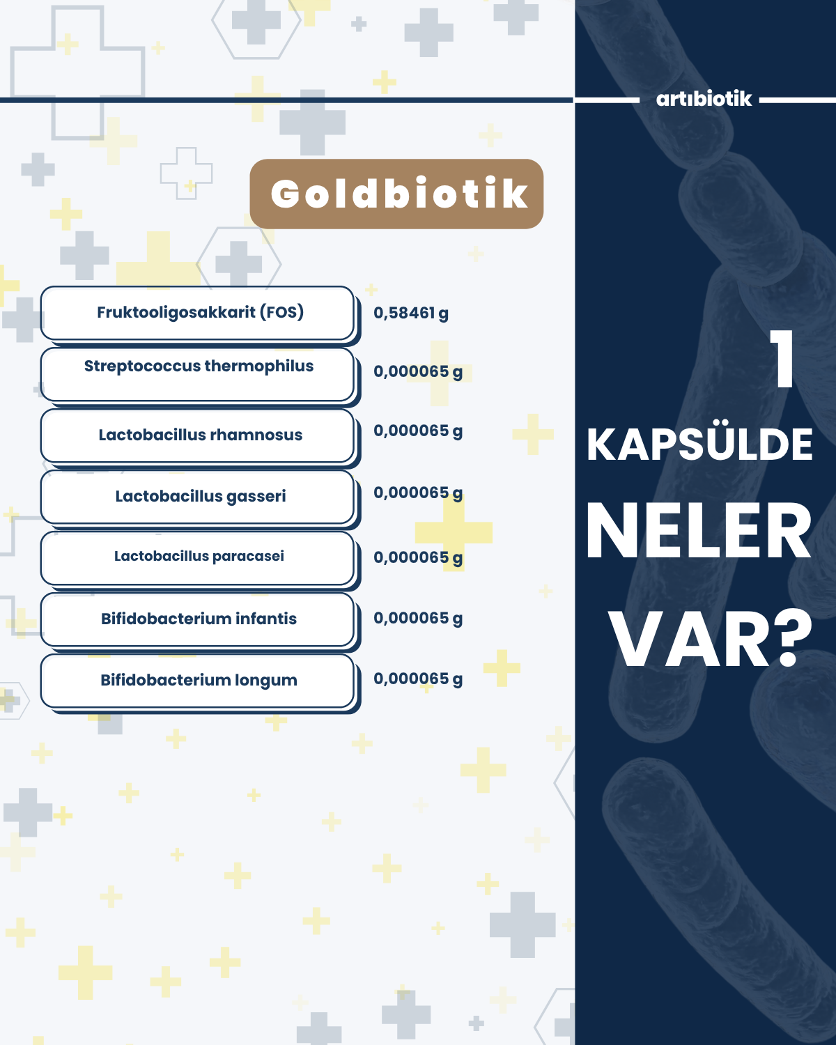Artıbiotik Goldbiotik(60 Kapsül)