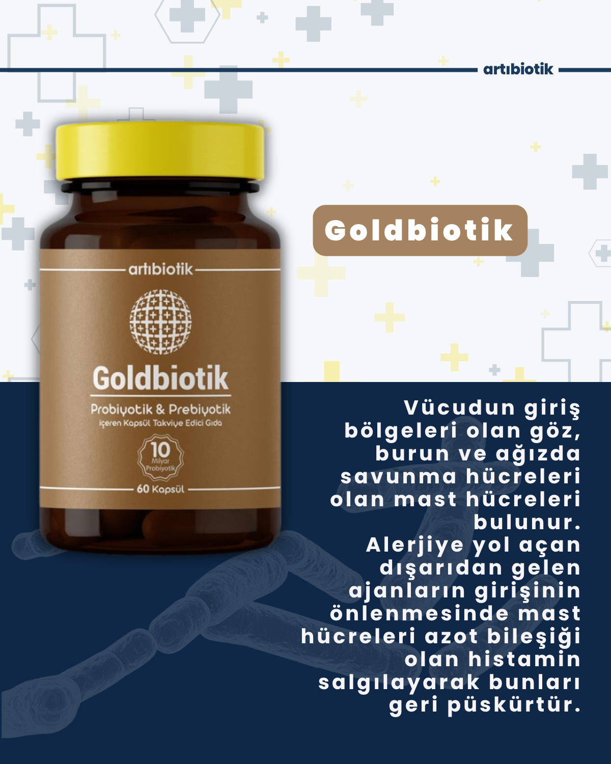 Artıbiotik Goldbiotik(60 Kapsül)