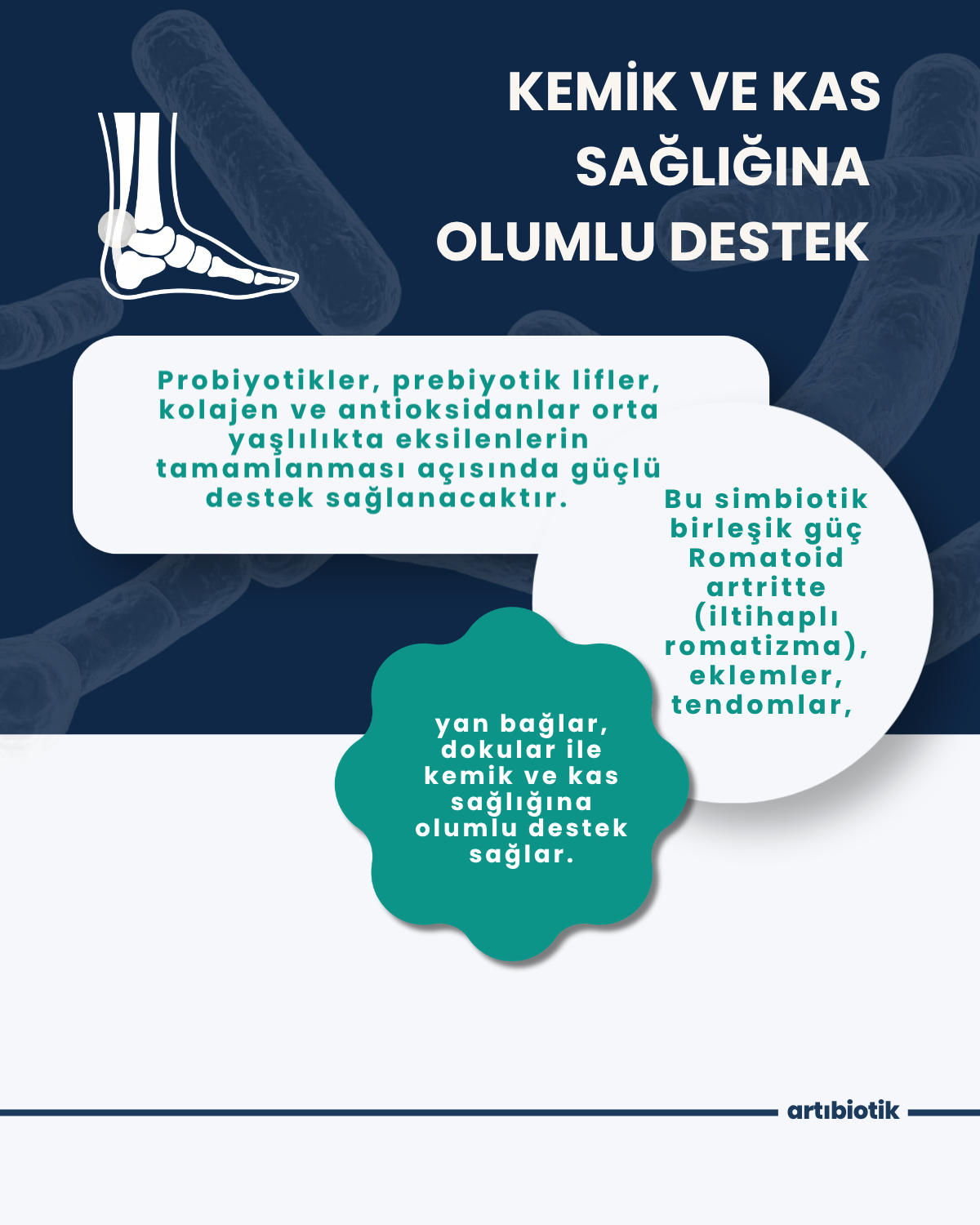 Artıbiotik Proprelife Kollajen (60 Kapsül)
