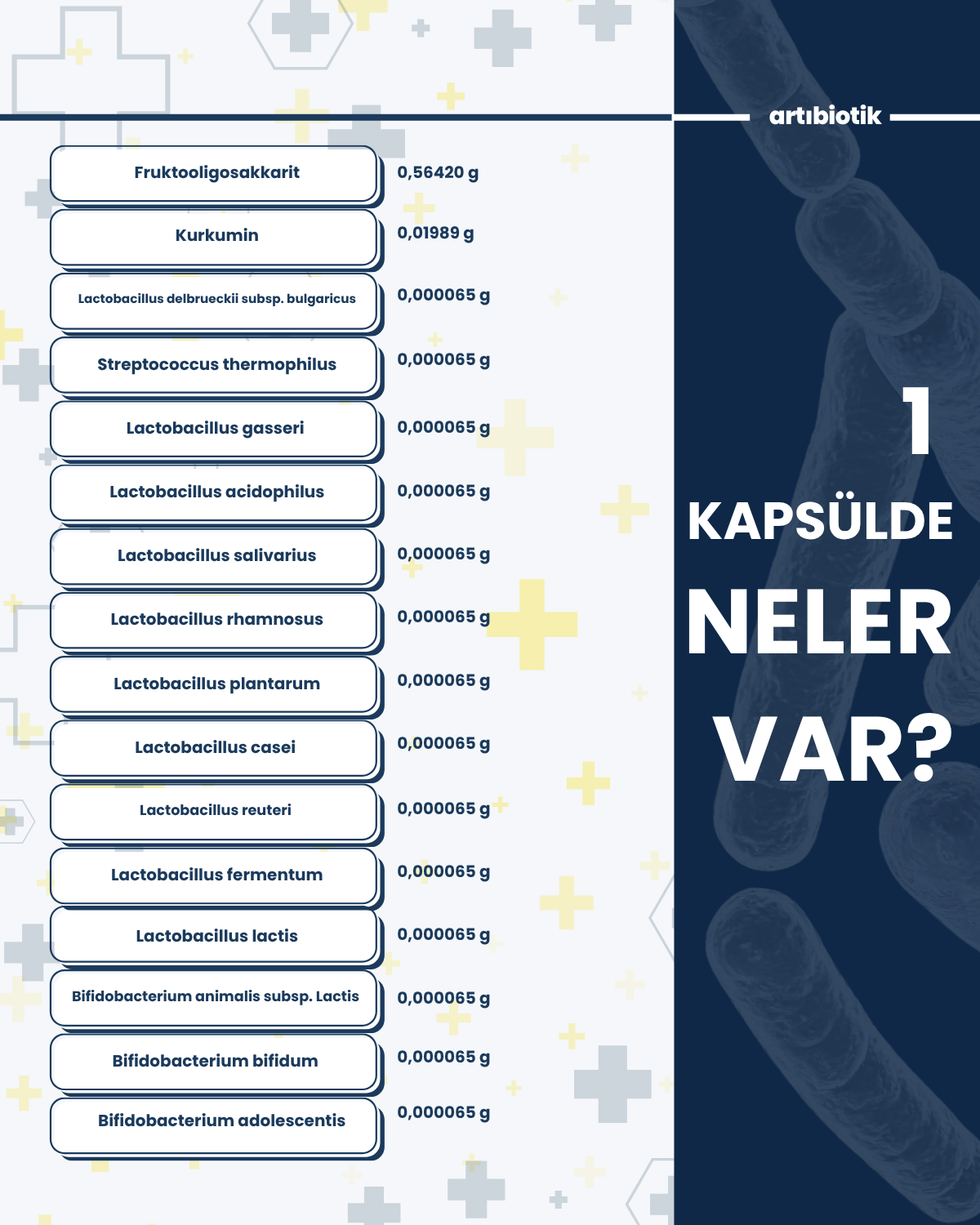 Artıbiotik Sndibiotik (60 Kapsül) 